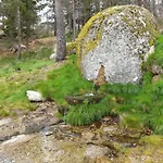 Apartamento Loja Casa Dos Cisnes - Serra Da Estrela *
